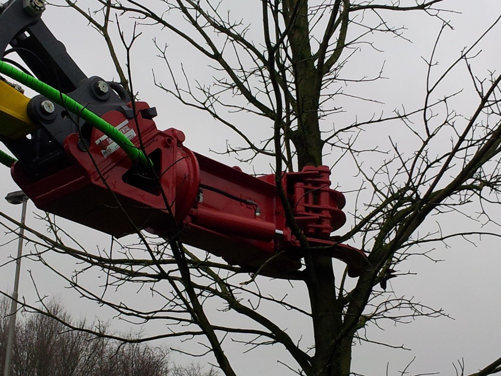 Treeshear Vosch 