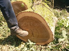RSG Grapples Vosch 