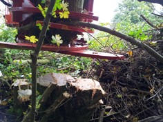 Treeshear Vosch 