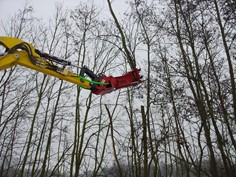 Treeshear Vosch 