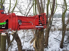 Treeshear Vosch 