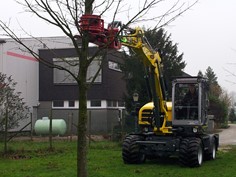 Treeshear Vosch 