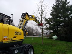 Treeshear Vosch 