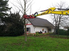Treeshear Vosch 