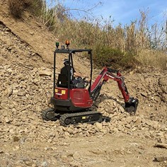Escavatori ViO17 