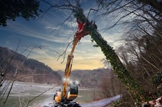 Woodcracker C 
