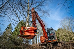 Woodcracker CL 