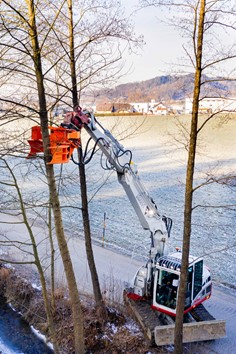 Woodcracker CL 