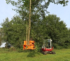 Woodcracker CL 
