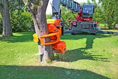 Woodcracker CS Smart 