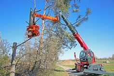 Woodcracker CS crane 