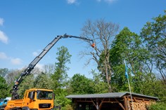 Woodcracker CS crane 