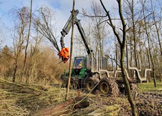 Woodcracker CS crane 