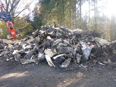 Woodcracker W 